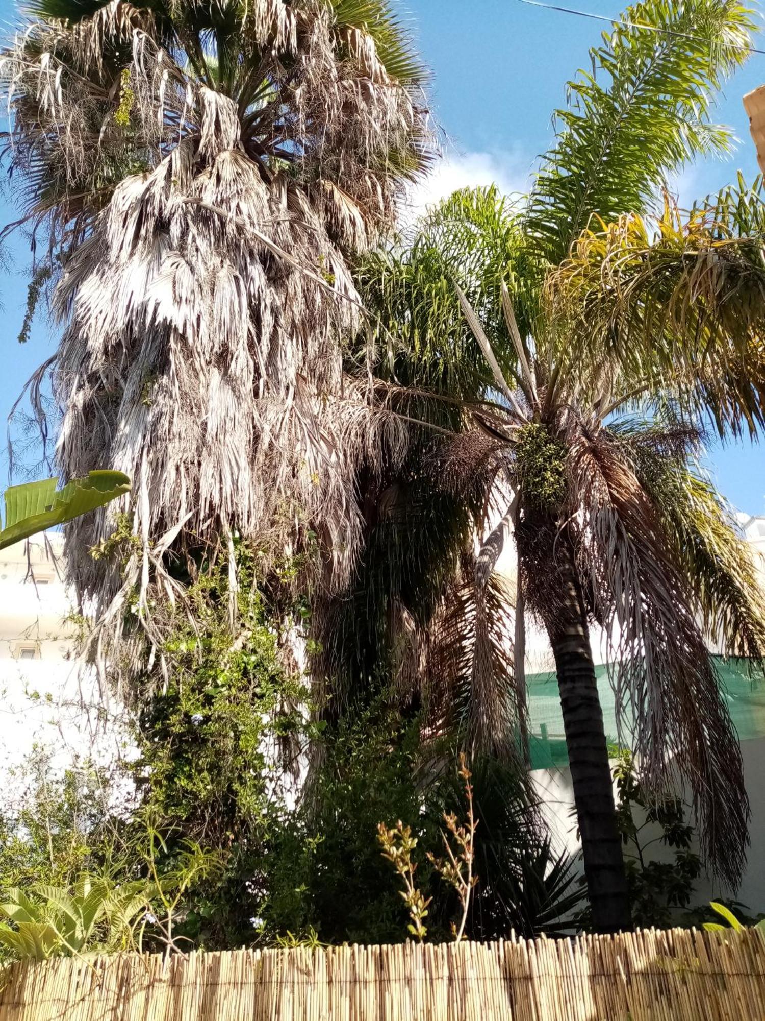 Casa Rustica Villa Olhao Exterior photo